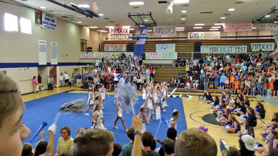 Students get wild at pep rally