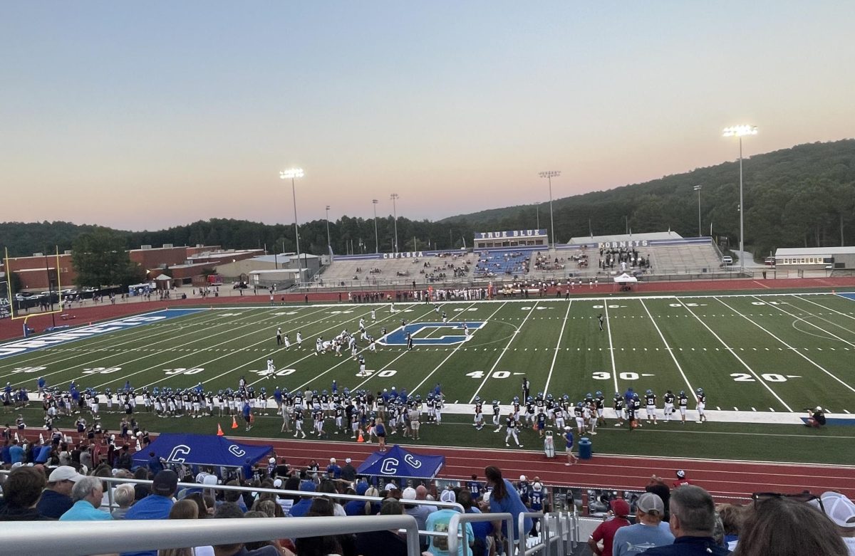 What a great view for the Chelsea Hornets first game of the season